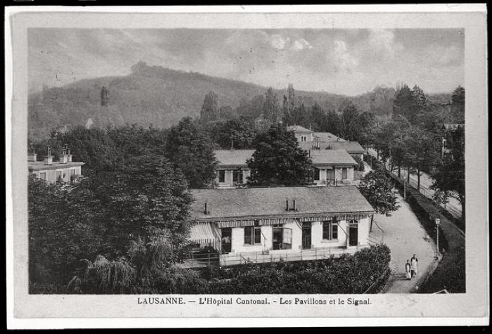 Pavillons d'isolement de l'hôpital cantonal: vue générale.