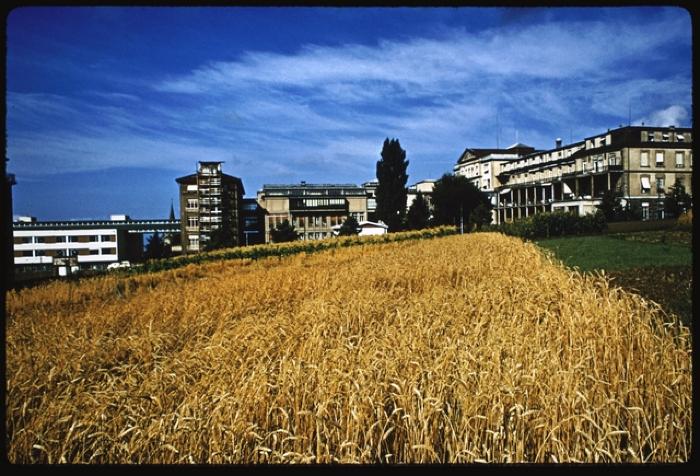 Site du CHUV avant la construction de ce dernier. De droite à gauche sur l'arrière plan, l'hôpital cantonal, le bloc opératoire et le pavillon chirurgical et son annexe..