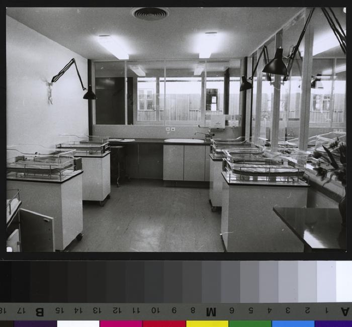 Pavillon des prématurés: salle des couveuses.