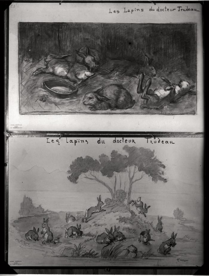 Document pédagogique dédié à l'information du public, exposition itinérante de 1914 (planche).